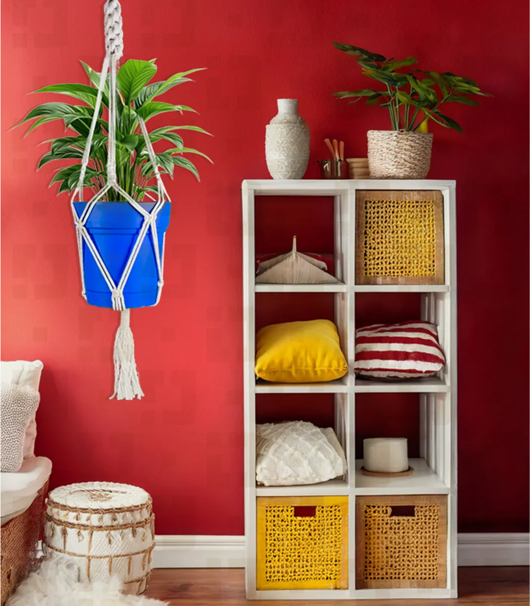 Single-Plant-hanger-Live-IBT75WHMSP000030