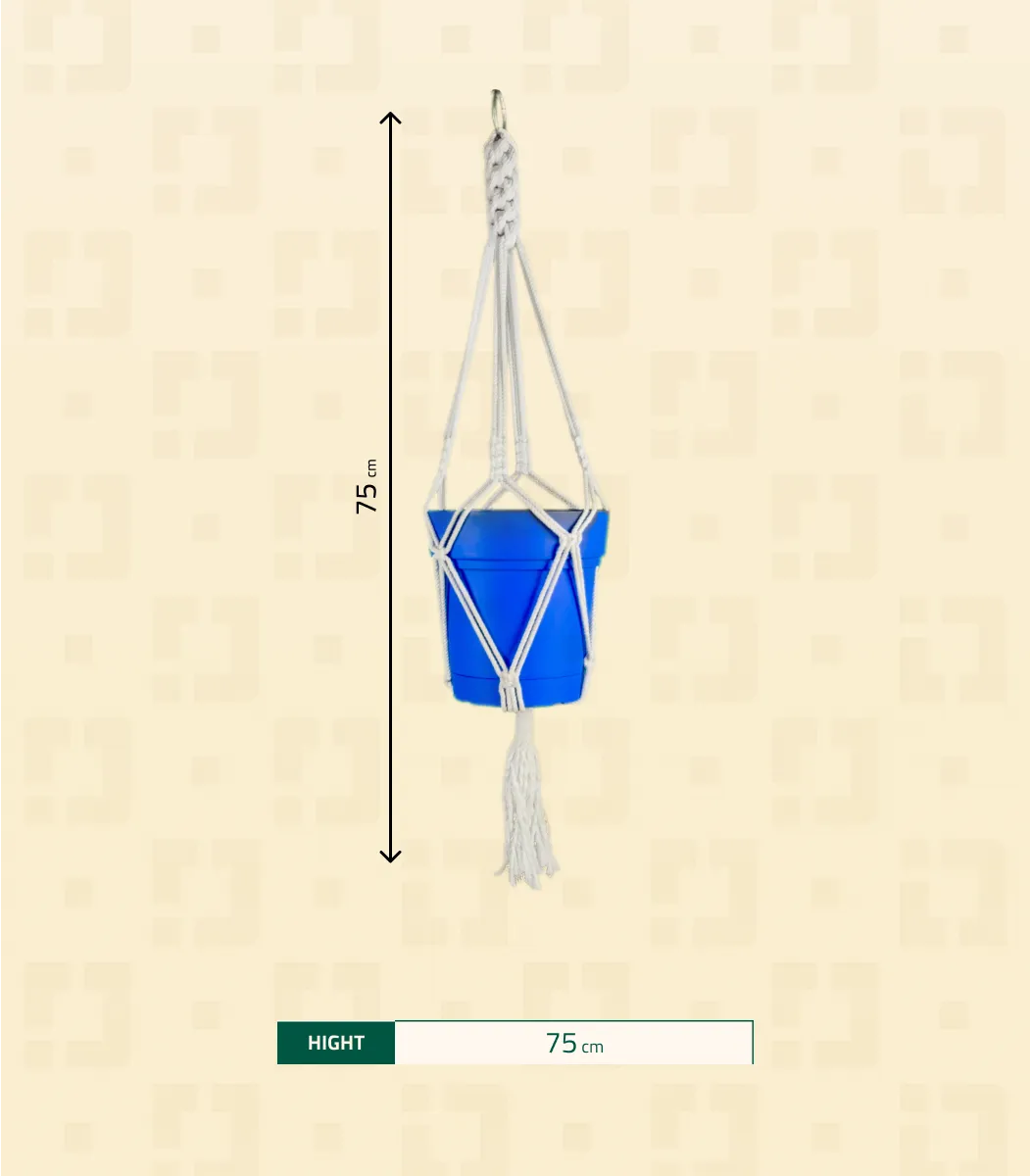 Single-Plant-hanger-SIZE-IBT75WHMSP000030