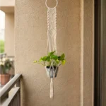plant hanger