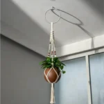 plant hanger