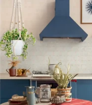 plant hanger