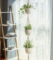Plant Hanger