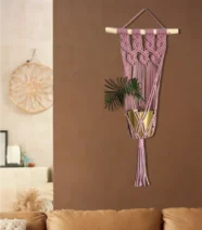 معلقة نباتات