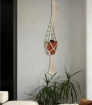 معلقة نباتات