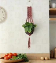 Plant Hanger