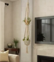 Plant Hanger