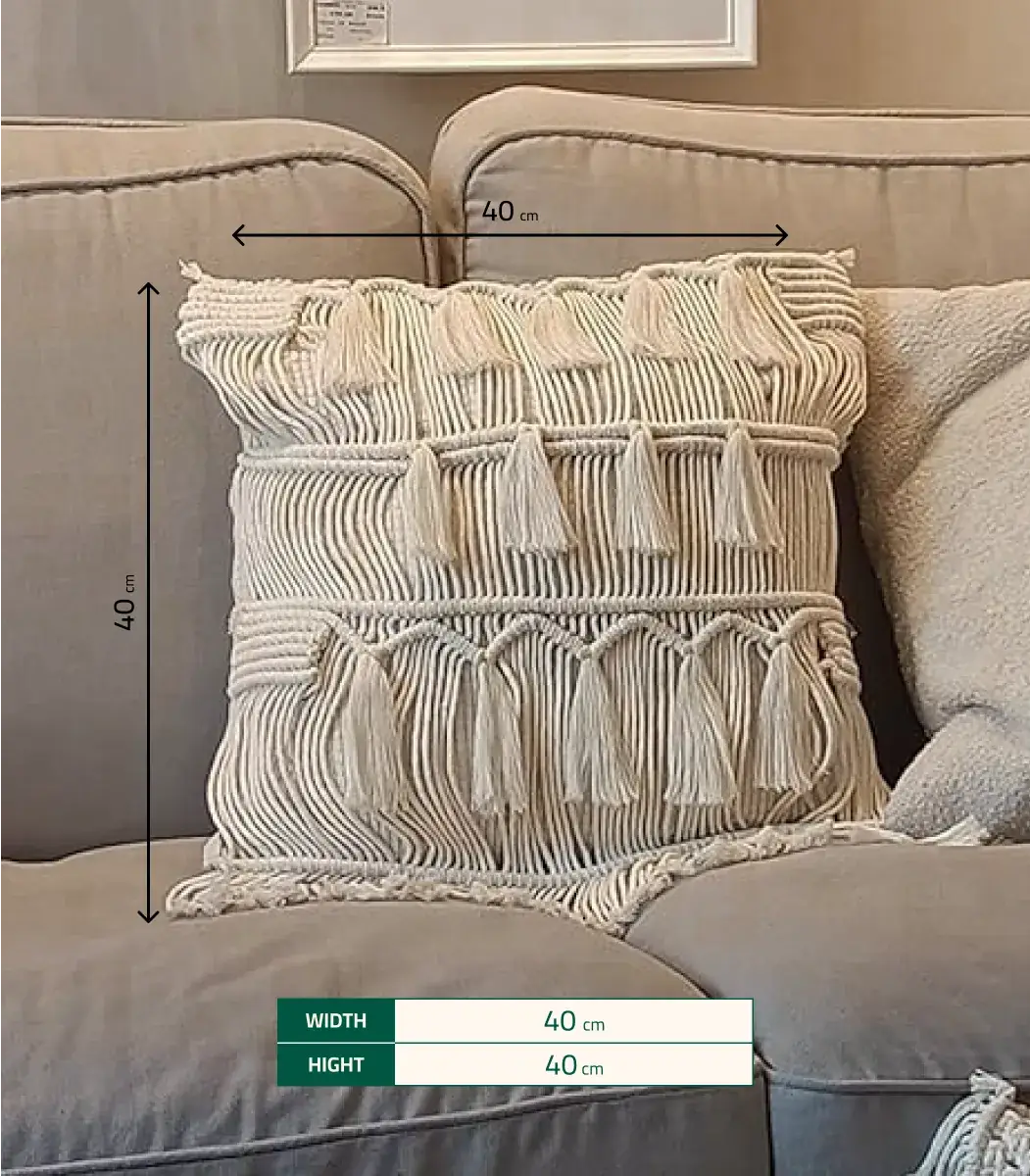cushion-cover-3-IBT4040OLCCC000011