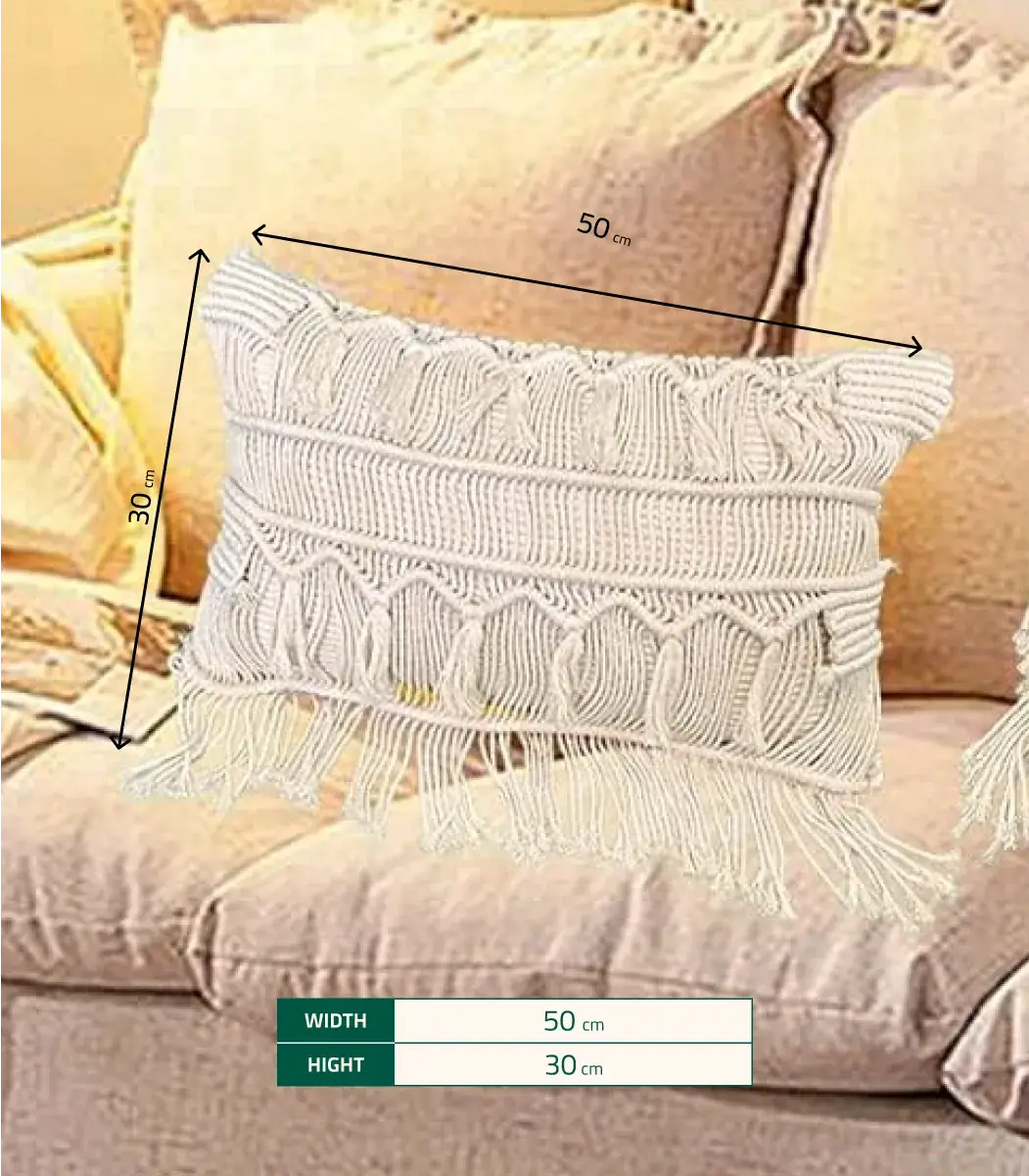 cushion cover -4-IBT5030OLCCC000013