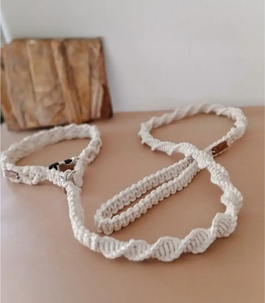 leash-Dog-1-IBT18033OKMLD000019