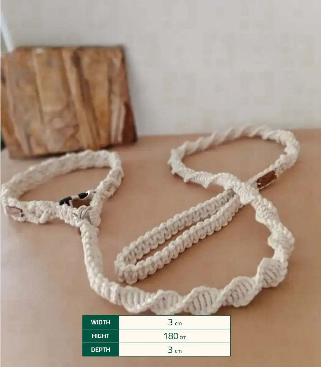 leash-Dog-3-IBT18033OKMLD000019