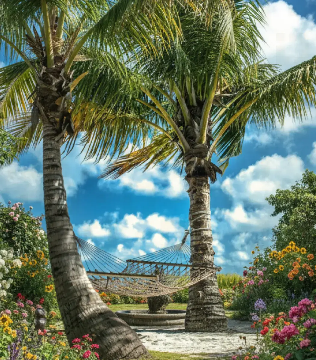 Hammock-02-IBTK300150300OSSH000027