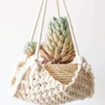 Macrame Plant Hangers