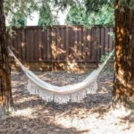 Hammock