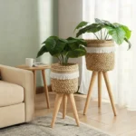 2Plant Stand