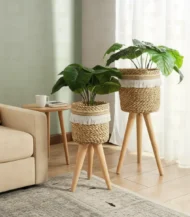 2Plant Stand-01-IBTK25110MH000015