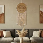 دريم كاتشر