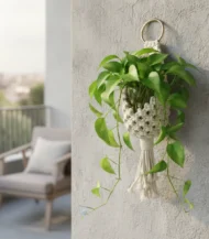 Macrame Plant Hangers -01-IBT812OSMMP000117