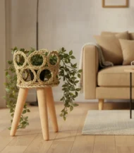 Plant Stand-01-IBTK6020MSHP000014