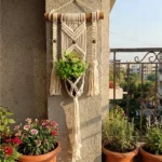 Plant Hanger