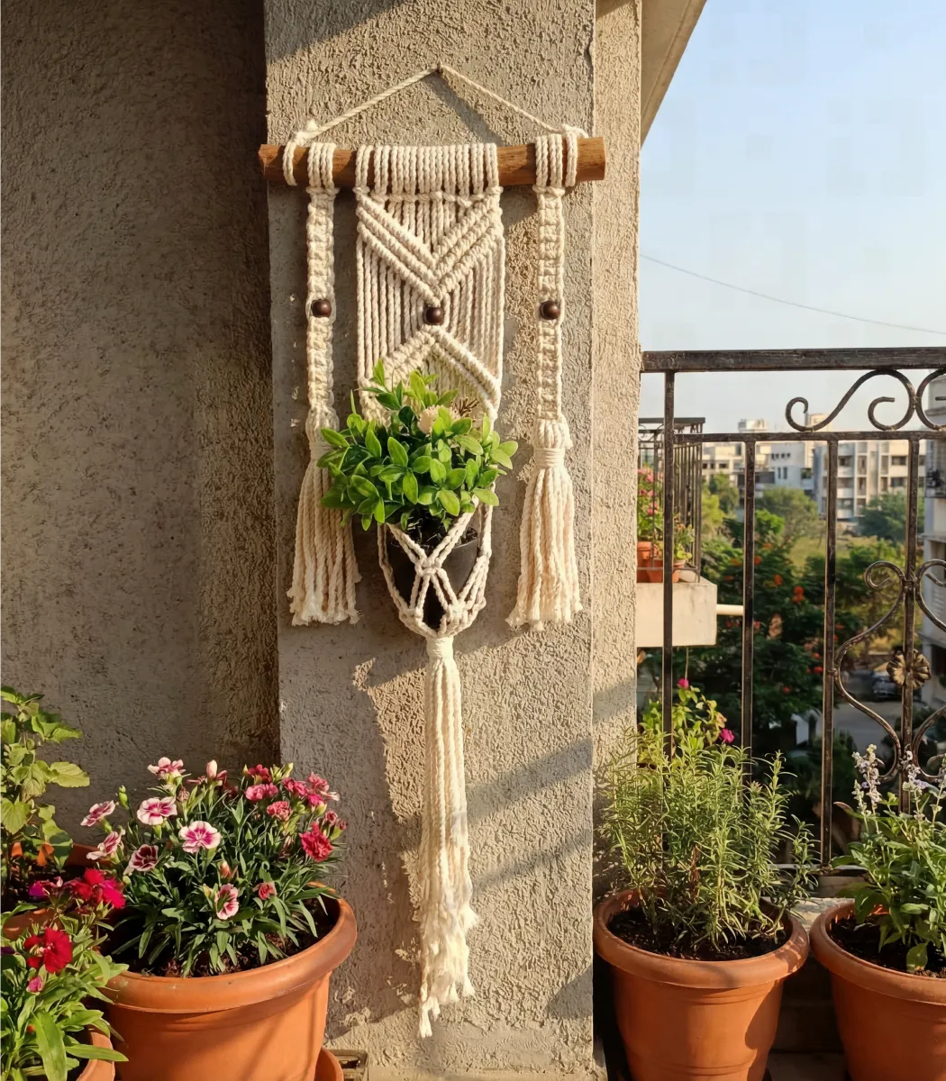 plant Hanger-01-IBTK8050OWWDPH000015