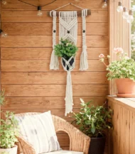 plant Hanger-03-IBTK8050OWWDPH000015