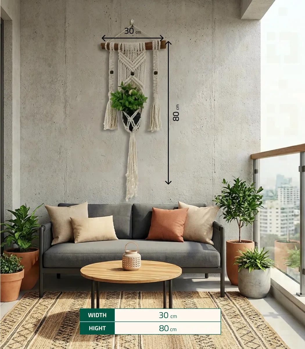plant Hanger-04-IBTK8050OWWDPH000015