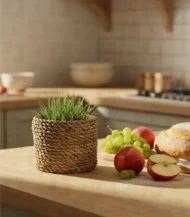 storage Basket-01-IBTK2020BH000019