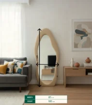 Mirror-03-IBTK18585BWM000014