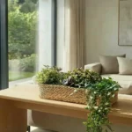 Plant Basket