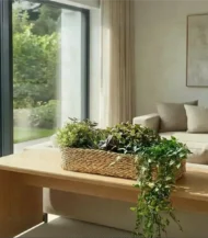 Plant Basket-01-IBTK4050BSHP000008