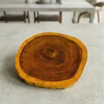 Round Wooden Tree Trunk Slice