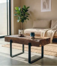 Coffee Table_02_IBTA4510045BZFC000007