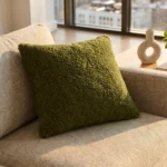Cushion