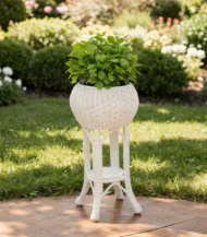 Plant stand-02-IBTA12030WAP000015