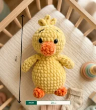 Coco the duck-03-IBTC20MCC000011