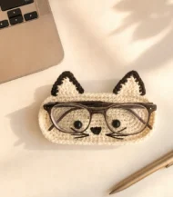 Glasses cover