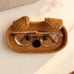 Glasses cover