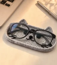 Glasses cover