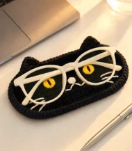 Glasses cover