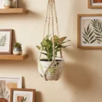 Plant Hanger