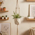 Plant Hanger