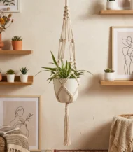 Plant Hanger