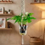 Plant Hanger