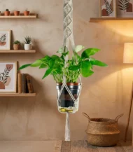 Plant Hanger