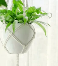 Plant Hanger - Image 3