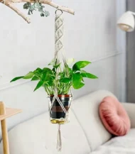 Plant Hanger - Image 3