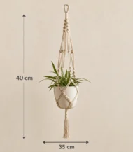 Plant Hanger - Image 4