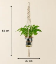 Plant Hanger - Image 4